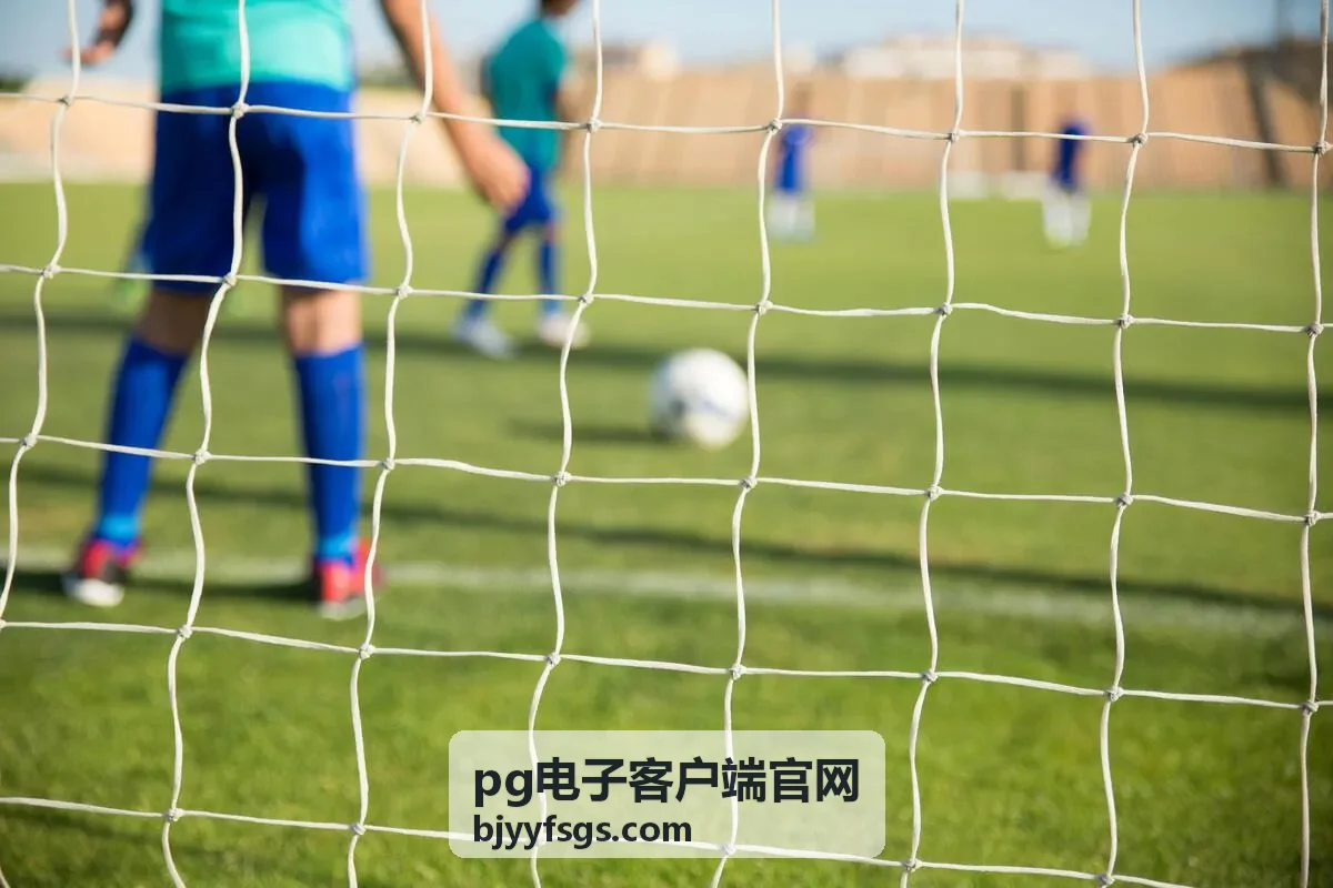 pg电子客户端官网版本更新失败的处理条目