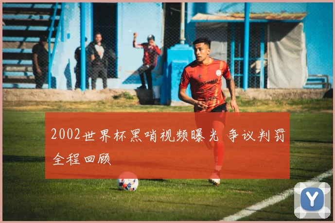 2002世界杯黑哨视频曝光 争议判罚全程回顾